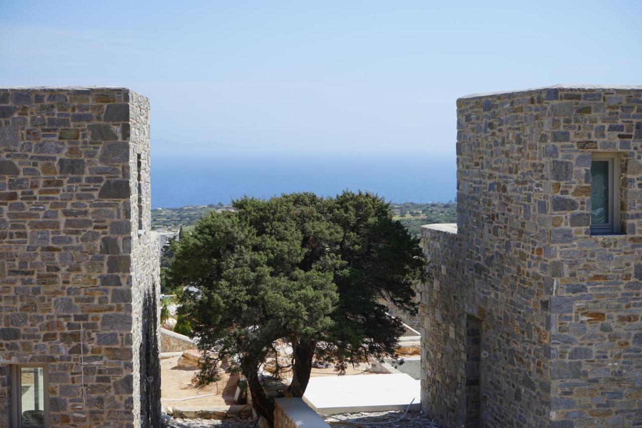 Aspro Chorio Paros-Memories-Neubau-Villen, Sportpool מראה חיצוני תמונה